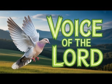 The Truth About Modern Prophets Revealed