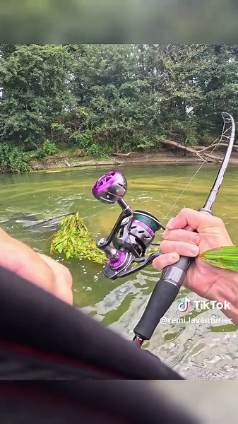 Mon premier 2m en solo, depuis le paddle en plus ! Je suis pas prêt de l'oublier ça m'a retourné le cerveau 🤣 #pêche #poisson #silure #fish #fishing