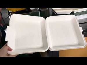 Paper food box making machine for fast take away restaurant