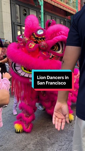 Lion dancers in Chinatown, San Francisco 💞 with the superbowl and Lunar New Year coming up - they may be out even more! Check out their socials for more exact timing as it varies 🫶 #tiktokgospringfun #liondancers #springbreak #Superbowl #sanfrancisco You can get more Details and book Experiences in San Francisco Directly through the Location tag on this video