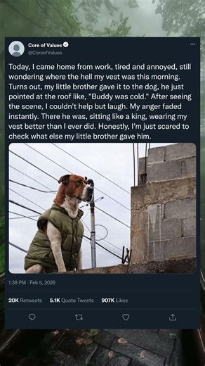 My Little Brother Gave My Vest to the Dog Because “He Was Cold” 🥹🐶 #dogster #doggie #happydog