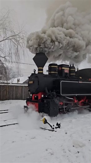 Romania on Instagram: "Too cold to move? In Maramureș, cold is just another dialect, and the mocănița answers it with fire. This coal-fed animal wakes like an old boxer stretching scarred knuckles, exhaling smoke the way priests exhale incense. Snow piles up like blank pages while the locomotive writes its story in soot and steam, dragging you forward not gently, but honestly, into a winter that still knows how to bite. Built for forests, not fantasies, this narrow-gauge line once hauled timber