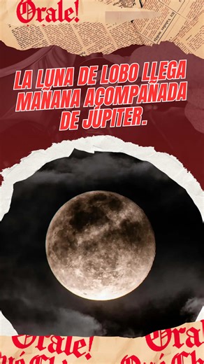 ¡Mañana llega la Luna de Lobo! 🐺🌕 La primera superluna del 2026 se verá 12% más brillante y estará junto a Júpiter. ¡No te pierdas este espectáculo nocturno el sábado 3 de enero! ✨📸 #LunaDeLobo #Astronomía #Superluna #2026 #CieloNocturno