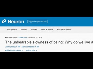 Neuron：人类大脑处理信息的速度仅为每秒10比特