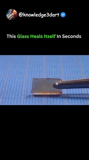 THIS NEW GLASS REPAIRS ITSELF😮