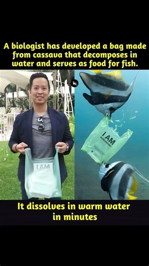 The Plastic Bag You Can Safely EAT! 🌿🐟​Why This Bag Dissolving is the Best Thing You’ll See Today