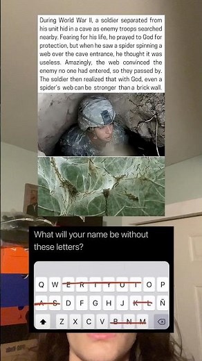 The spiders web saved him