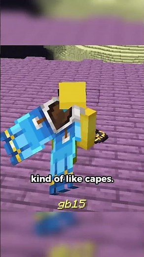 Coloured Elytra in Minecraft..