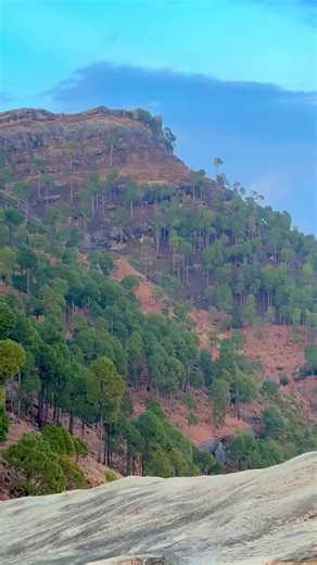 🫀😇#panjbeer #panjar