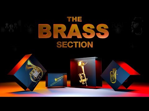 THE BRASS SECTION - Exploring Each Instrument In The Brass Section and Their Characteristics!