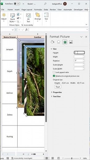 Cara Insert Foto dan Gambar Sekaligus Banyak dan Ukuran Sama #tipsexcel