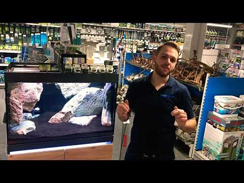 EHEIM INCPIRIA 330 Einrichtung | Digital Center | AquaDesign Oldenburg