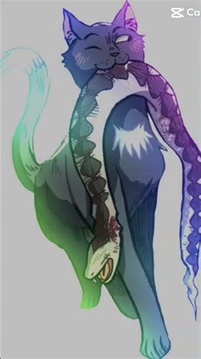 I have nearly finished the first warrior cats graphic novel 😁 #warriorscats