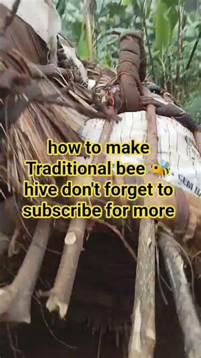 how to make Traditional bee 🐝 hive?