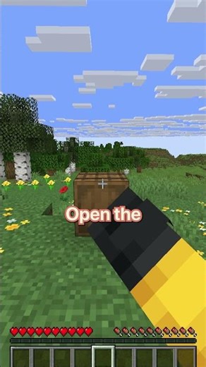 Minecraft Java Duplication GLITCH You NEED to Try!