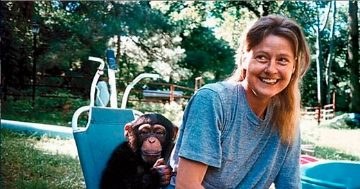 El dramático caso de Charla Nash, la mujer a la que un chimpancé le destruyó los párpados, la nariz y la mandíbula