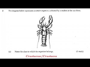 KCSE 2012 paper 1 #Biology questions and answers #marking scheme #improveyourgrades #education