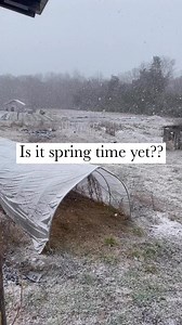 2.2K views · 34 reactions | Here at Southern Exposure Seed Exchange,...