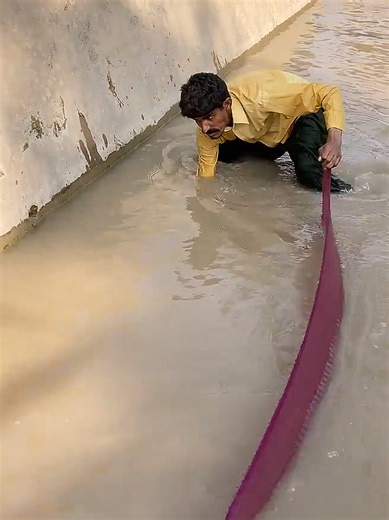 Fishing Adventures: Tips and Techniques for Success