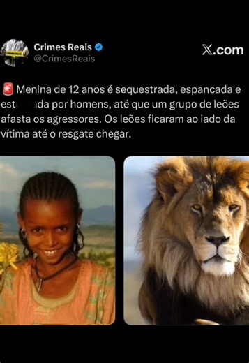 Coitado do Grok kkk #fyp #grok #gado