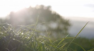 6.9K views · 109 reactions | One of our good friends, Rory Cocker, has recently moved away from Preston. He found this footage he had put together and he has kindly let us share it with you. We think it's a fantastic answer to anyone who questions how beautiful our city is. | Blog Preston | Facebook