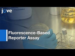 Simple Fluorescence-Based Reporter Assay To Identify Cellular Components For RTA-Preview