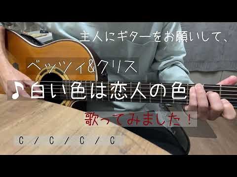 白い色は恋人の色/ベッツィ&クリス/主人のギターで歌ってみました！cover/歌詞ギターコード付き