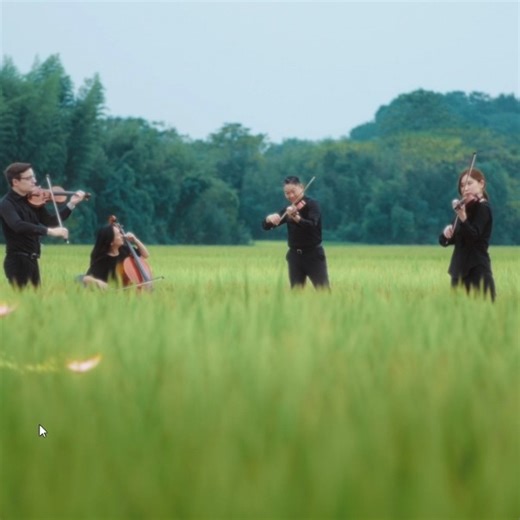 China, US symphony orchestras to stage ‘Light of Liangzhu’ concert