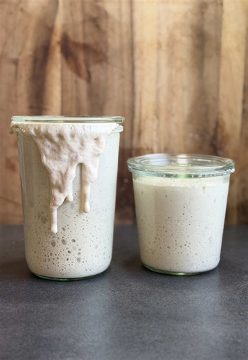 Sauerteig verstehen: Starter, Ansatz und fertiger Sauerteig