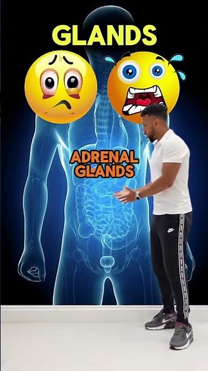 GCSE Biology - hormones and glands!