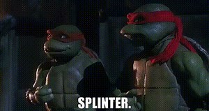Splinter.
