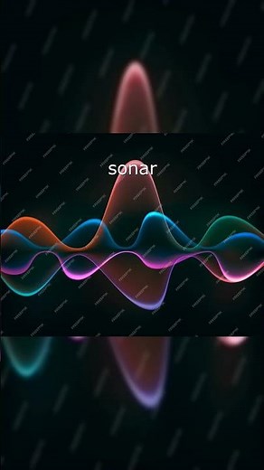 Bat Echolocation: How Do They Do It?