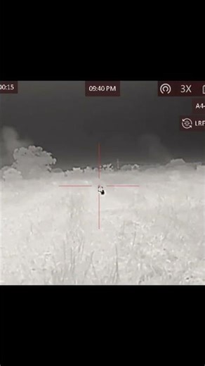 Just keep shooting #thermal #hunting #nighthunting #youtubeshorts #biggamehunting #hog #farmer