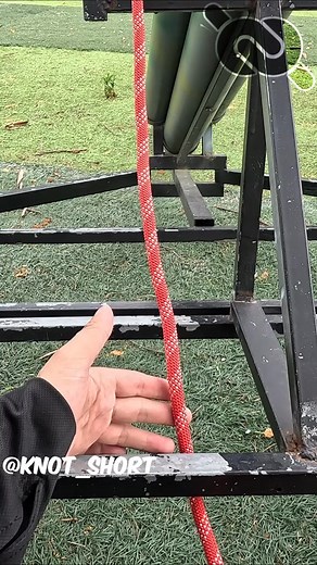 Best way to tie a Cats Paw knot #knotshort @KNOT SHORT CHANNEL | Piers Claimond