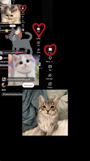 #cat