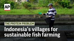 21 reactions · 5 comments | Indonesia’s rise to become the world’s...