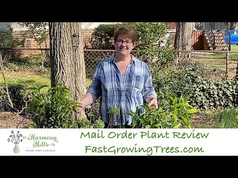 Mail Order Plant Review: FastGrowingTrees.com 🌱🌿🌳🌲