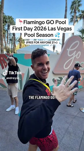 🎰Las Vegas Entertainment Guide: Flamingo go pool at is now open to the public for 2026 pool season! this time of year is perfect before it gets to busy! Flamingo Go Pool TIPS ⬇️ 1) this time of year is perfect before it gets to busy! 2) free even if you're not staying at the hotel 3) consider a cabana or daybed they look really nice especially the ones on the water 4) it gets shady later in the day which is great! follow for more Las Vegas entertainment updates! I will also be able to offer my