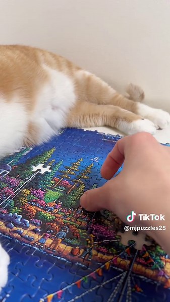 Discover the World's Largest Puzzle Challenge