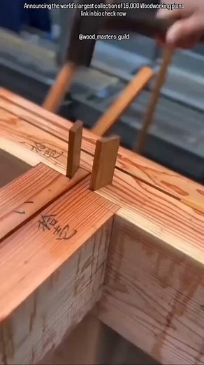 1.6K views · 135 reactions | Transform Your Woodworking Passion Into...