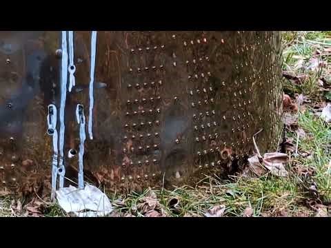 The inner-tub from an LG front load washing machine makes a fantastic Fire Pit! ²²