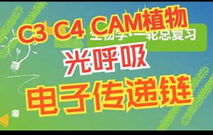 【高中生物一轮复习】解惑练1.2.3 C3植物C4植物CAM植物景天酸循环光呼吸光系统及电子传递链 新高考生物步步高全国新课标网课