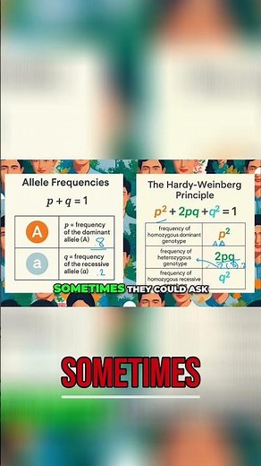 Heterozygous Frequency: Quick Genetics Tutorial