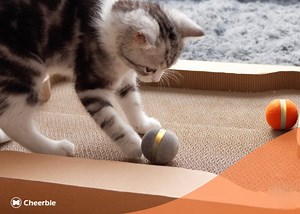 Cheerble interactive cat toy, scratcher and catcher 39% off