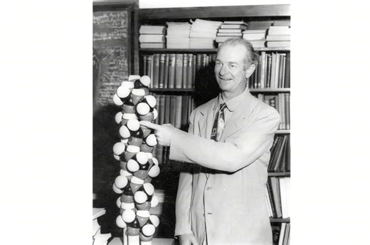 alphafold2关键算法介绍