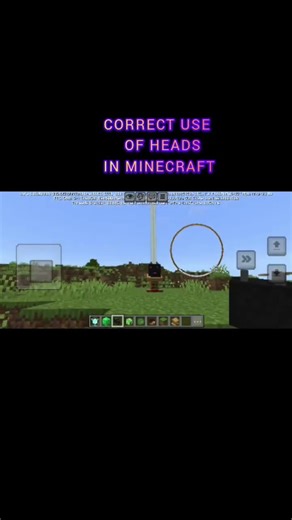 CORRECT#USE#OF#HEADS#IN MINECRAFT...👍