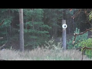 Shooting a Slingshot - 110 Yards at 2 CANS with 430fps