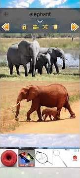 Elephant sound effects effect effective SFX