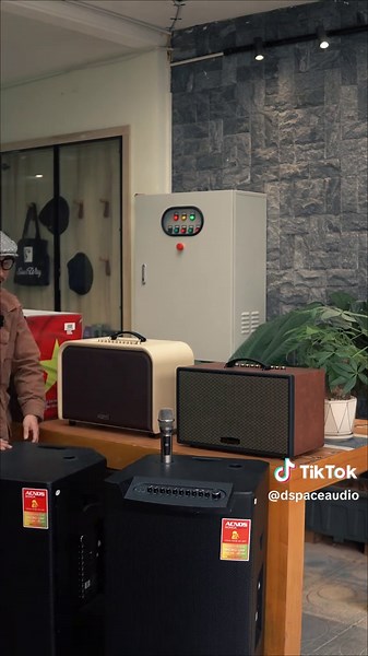 Nên chọn loa xách tay hay loa kéo karaoke #loakaraoke #loakeo #duymartiny #dspaceaudio