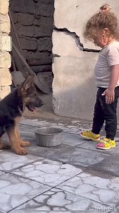 2.3M views · 10K reactions | Am venit să văd ce mai faci și ți-am adus puțină apă că e cald și poate ți-e și ție sete | RO media | Facebook